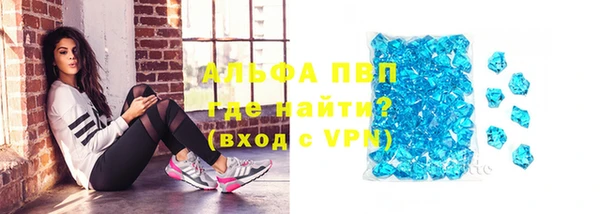 PSILOCYBIN Балахна
