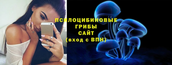 PSILOCYBIN Балахна