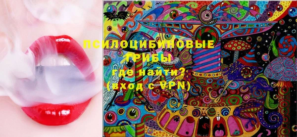 PSILOCYBIN Балахна