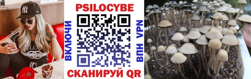 Галлюциногенные грибы Psilocybine cubensis  дарнет шоп  Шелехов 
